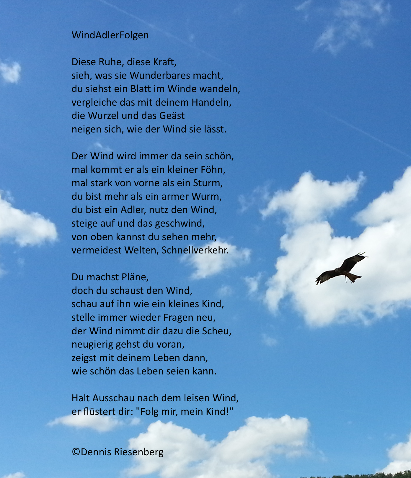 AdlerWindFolgen